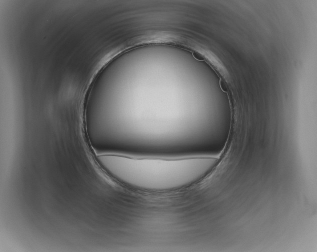 X0000112030850200908031021