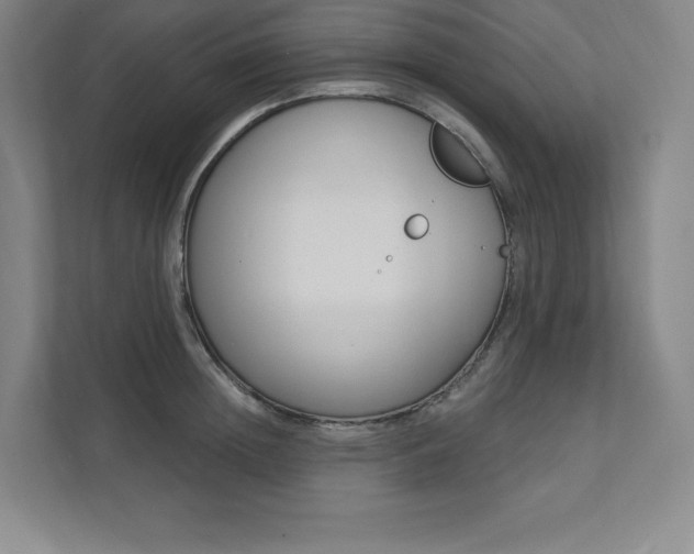 X0000112030852200908031021