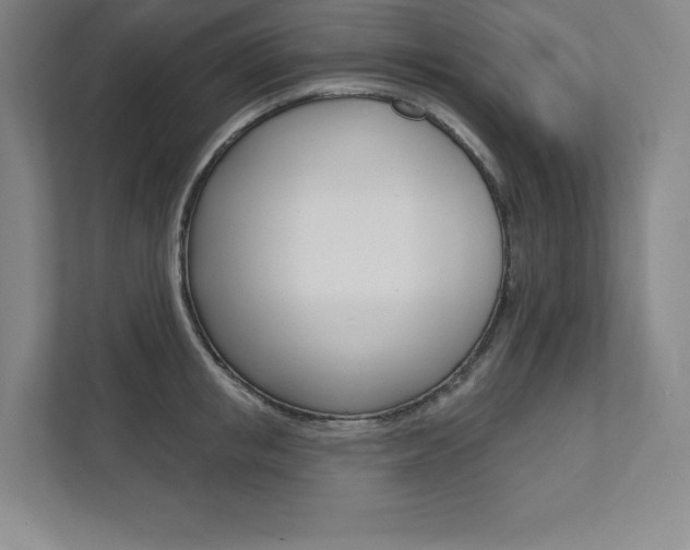 X0000112030853200908031021