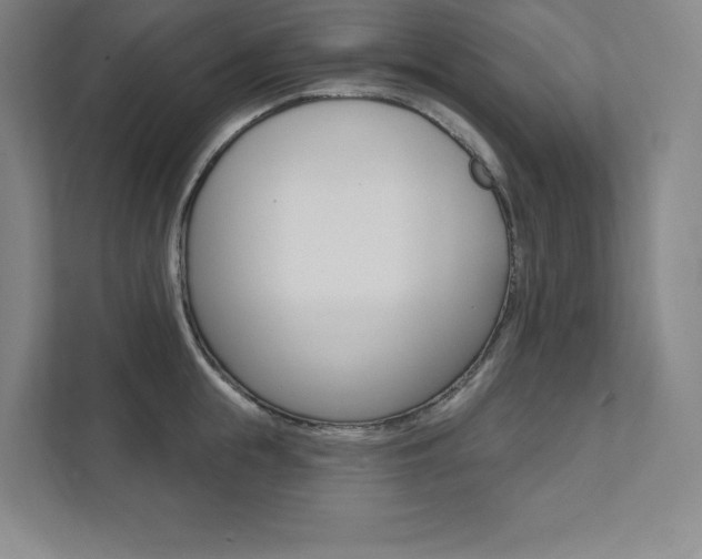X0000112030855200908031021