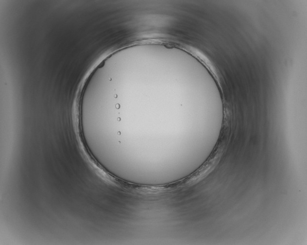 X0000112030859200908031021