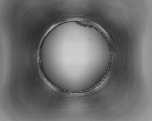X0000112030860200908031021