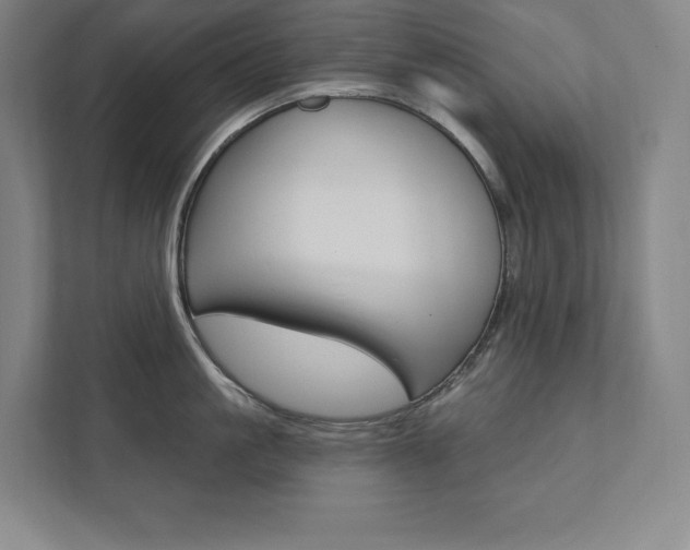 X0000112030861200908031021