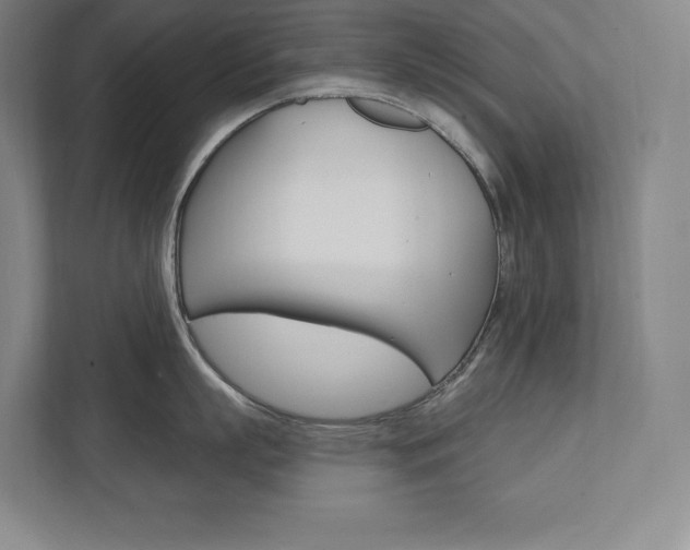 X0000112030863200908031021