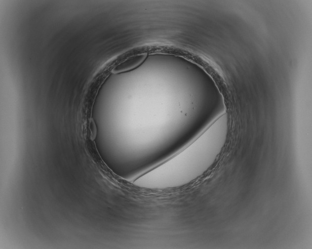 X0000112030872200908031020