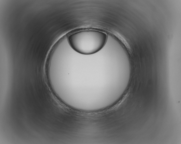 X0000112030876200908031020
