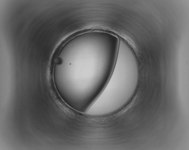 X0000112030880200908031020