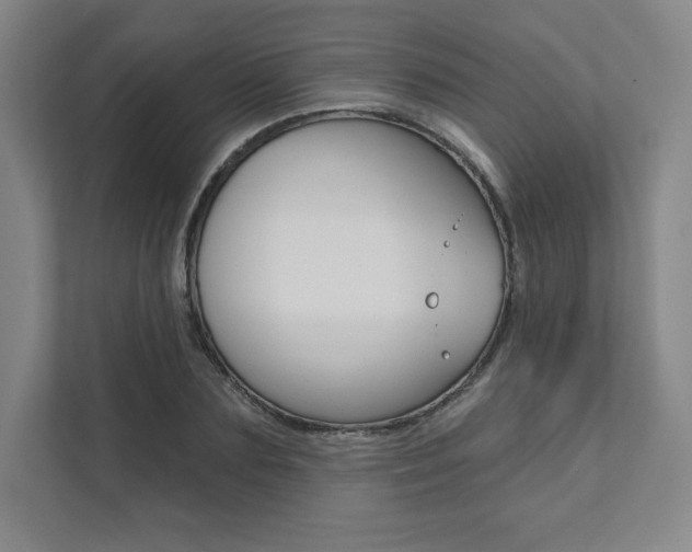 X0000112030883200908031020