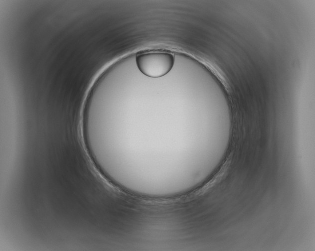 X0000112030888200908031020