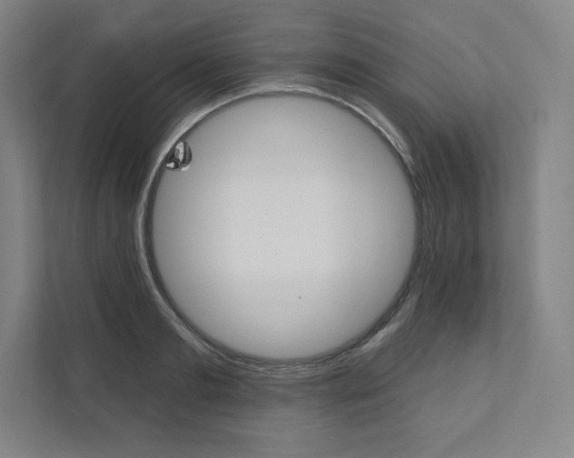 X0000112030893200908031020