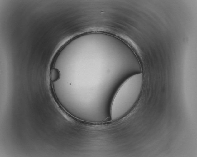 X0000112030894200908031020