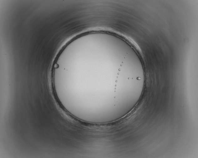 X0000112030895200908031020