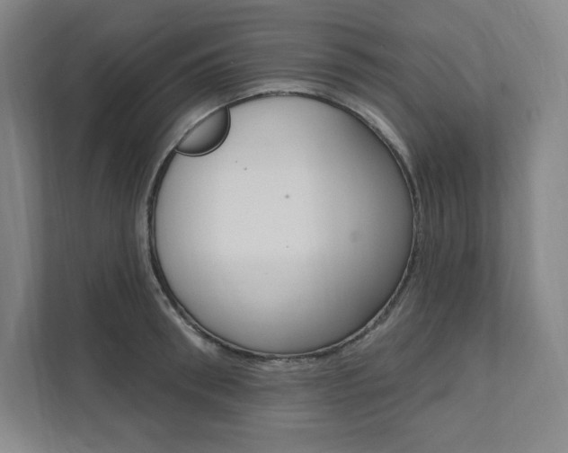 X0000112030898200908031020