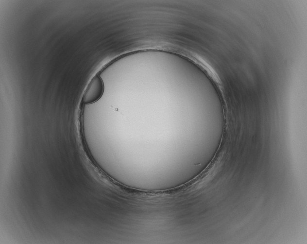 X0000112030899200908031020