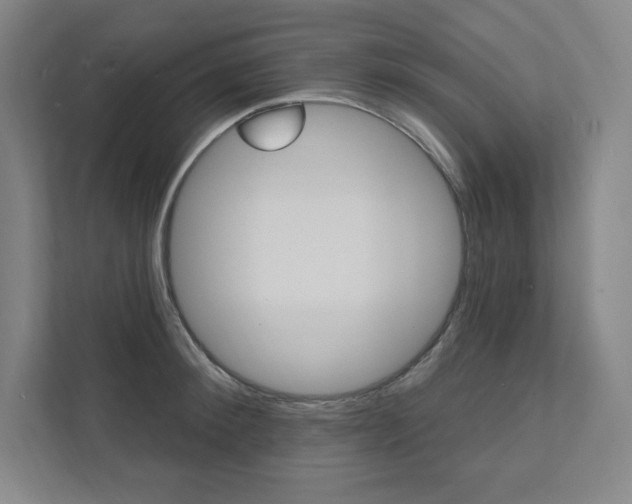 X0000112030900200908031020