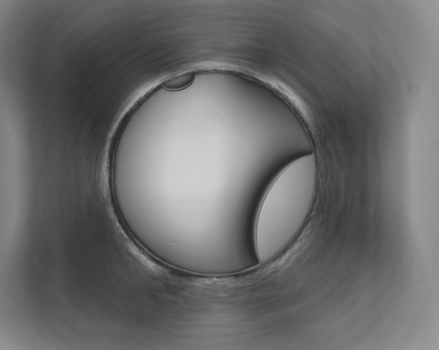 X0000112030902200908031020