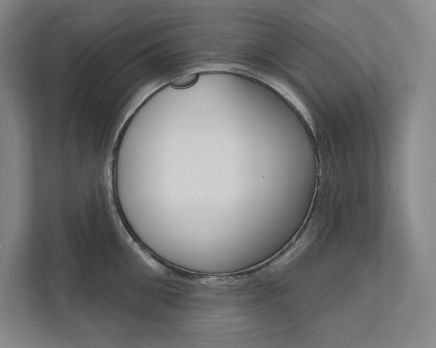 X0000112030906200908031020