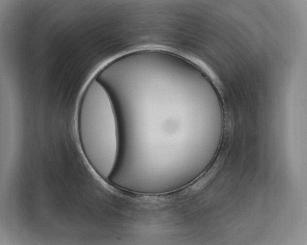 X0000112030910200908031020