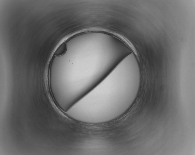X0000112030911200908031020