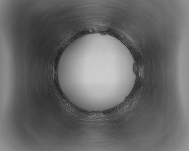 X0000112030915200908031019