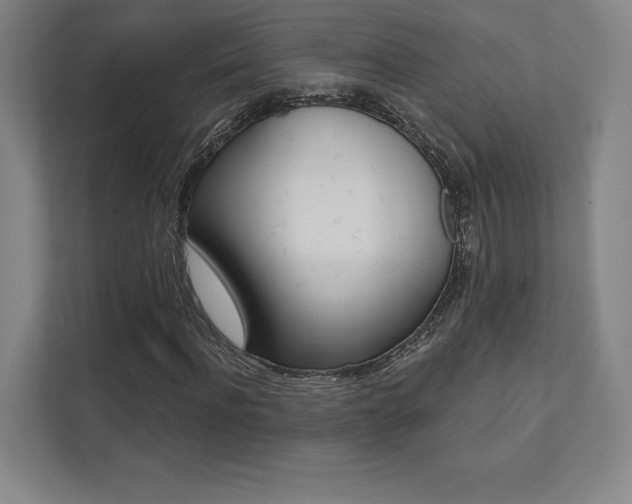 X0000112030916200908031019