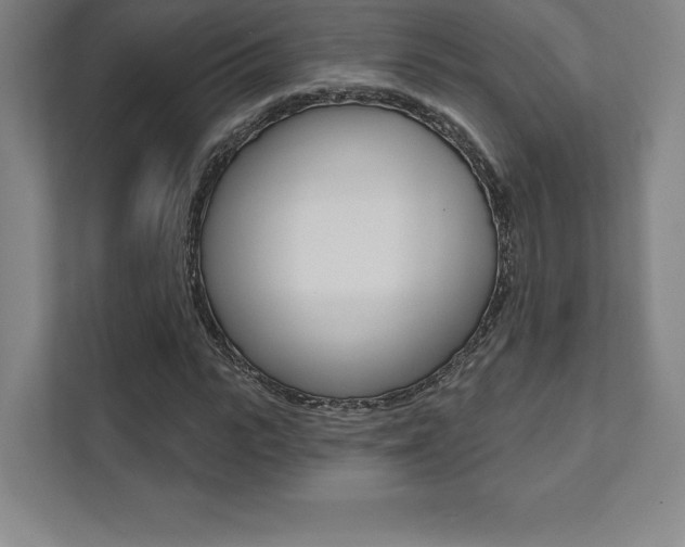 X0000112030919200908031019