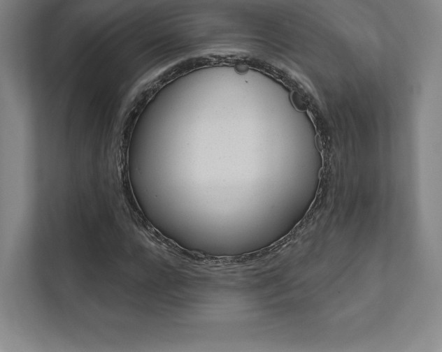 X0000112030920200908031019