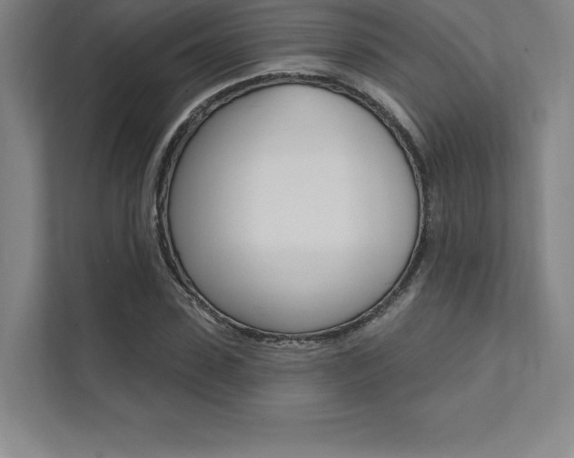 X0000112030923200908031019
