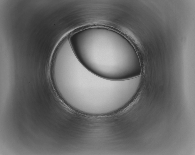 X0000112030924200908031019