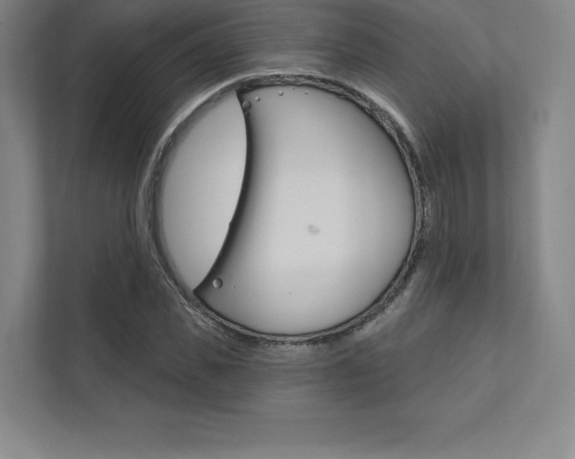 X0000112030925200908031019