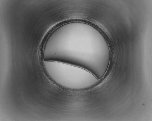 X0000112030926200908031019