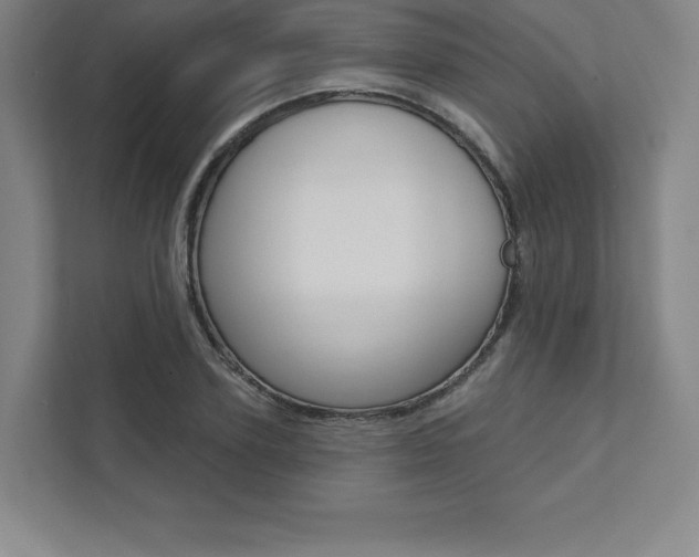 X0000112030931200908031019