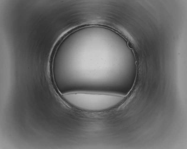 X0000112030932200908031019