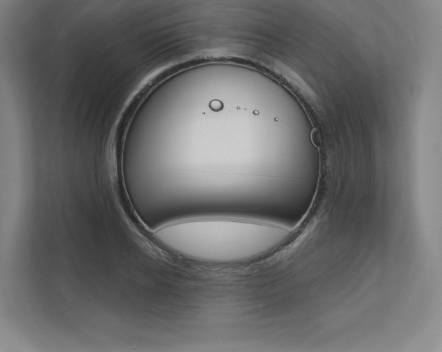 X0000112030934200908031019