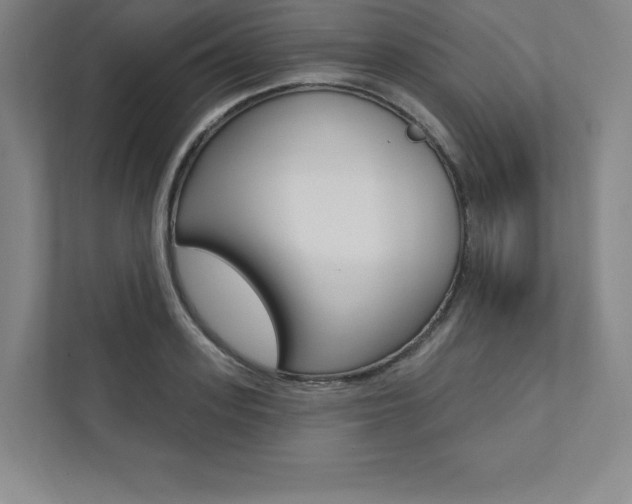 X0000112030939200908031019