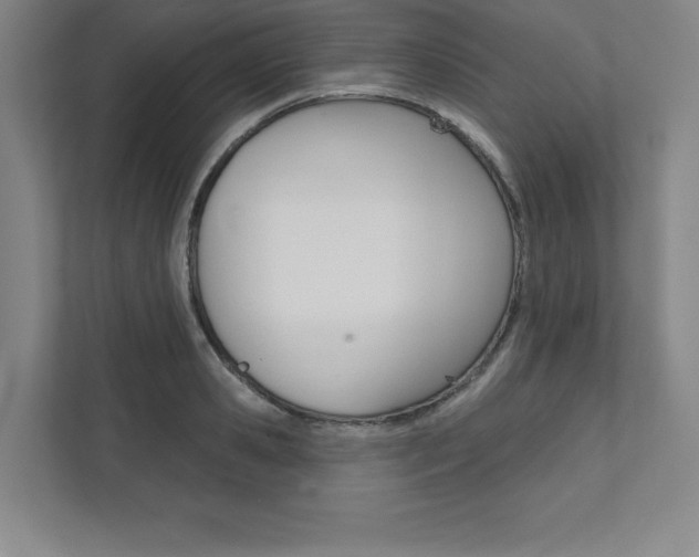 X0000112030941200908031019