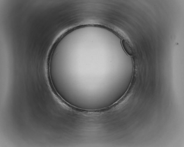 X0000112030942200908031019