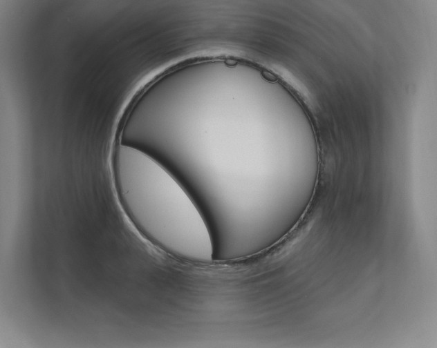 X0000112030943200908031019