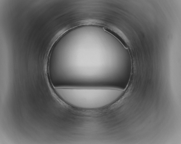 X0000112030946200908031019