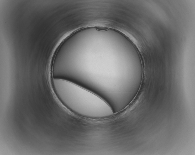 X0000112030949200908031019