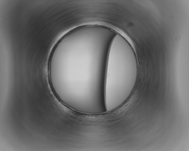 X0000112030951200908031019