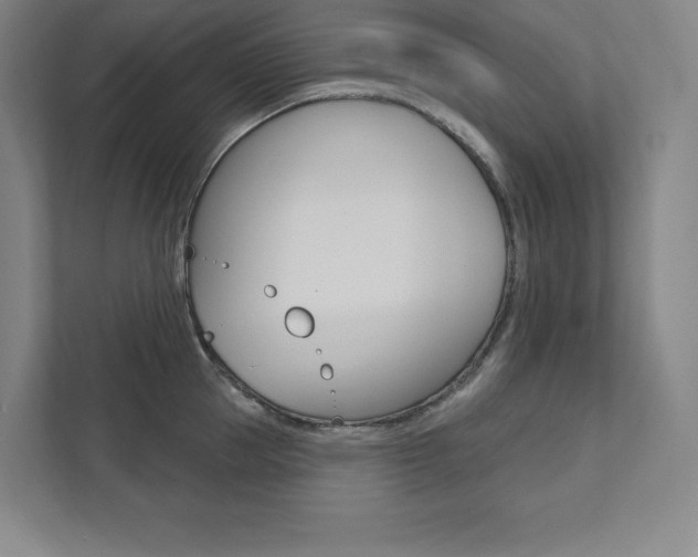 X0000112030953200908031019