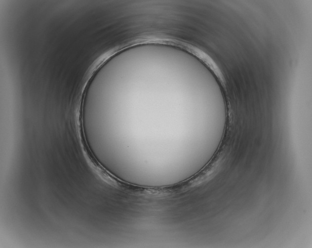 X0000112030954200908031019