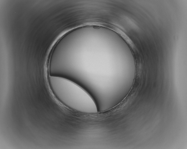 X0000112030955200908031019