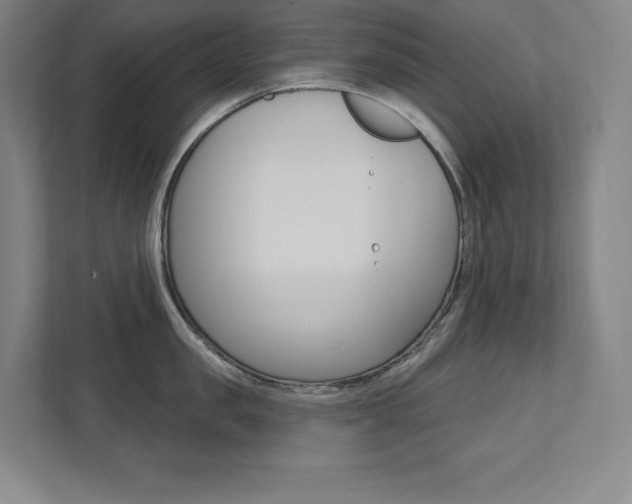 X0000112030957200908031019