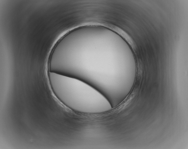X0000112030958200908031019