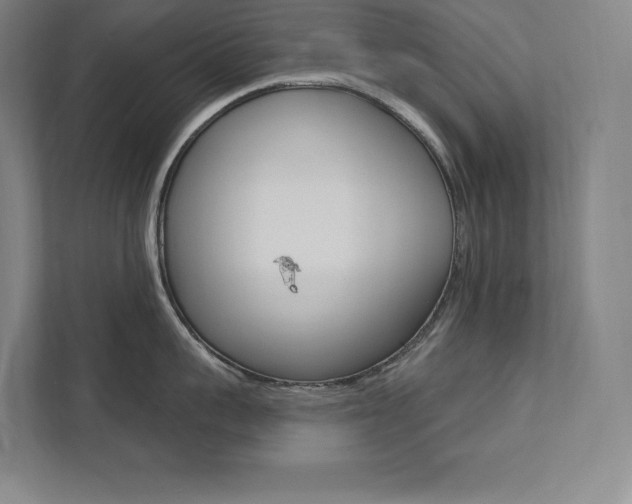 X0000112030959200908031019