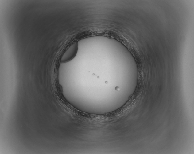 X0000112030961200908031019