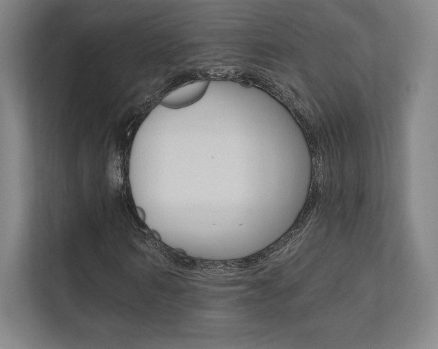 X0000112030962200908031019