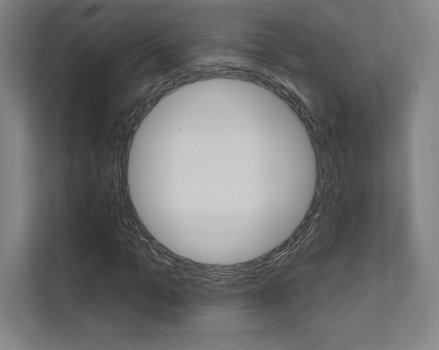 X0000112030965200908031019